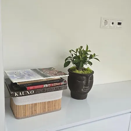 Apartamento Santakos Apartmentai